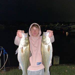 Meet your Posher, Dylan